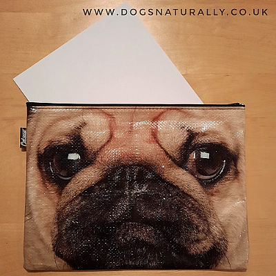 Pug Face A4 Pouch (Catseye)